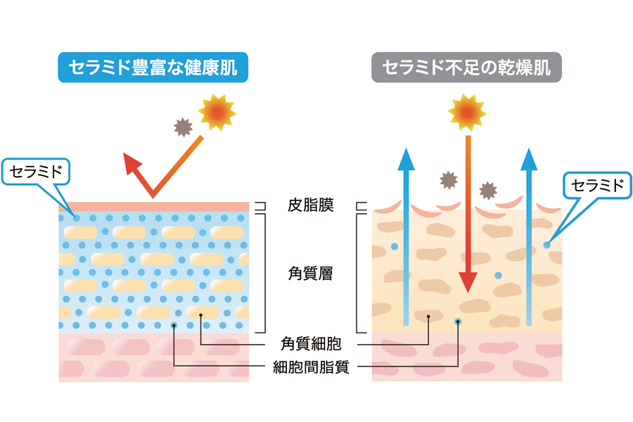 馬油の特徴