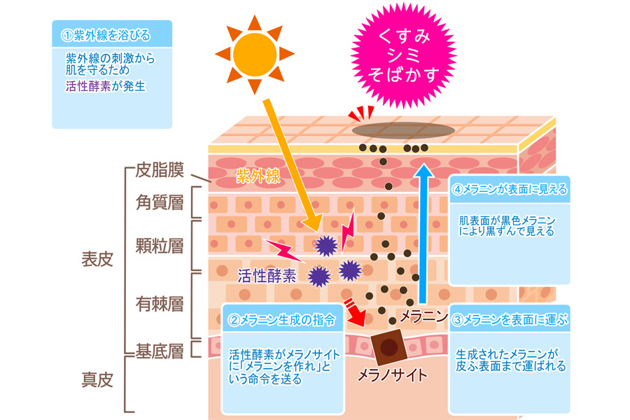 落としたいのは「肌のくすみ」