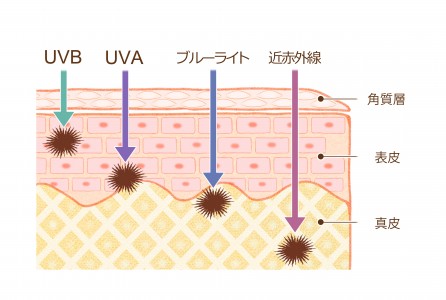 ブルーライトは可視光線