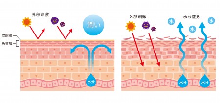 保湿が必要な理由