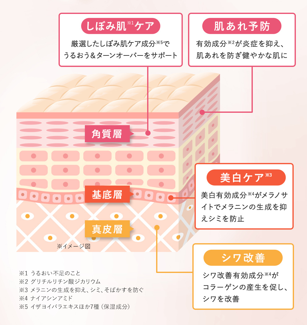 図解_セルラービューティー発想