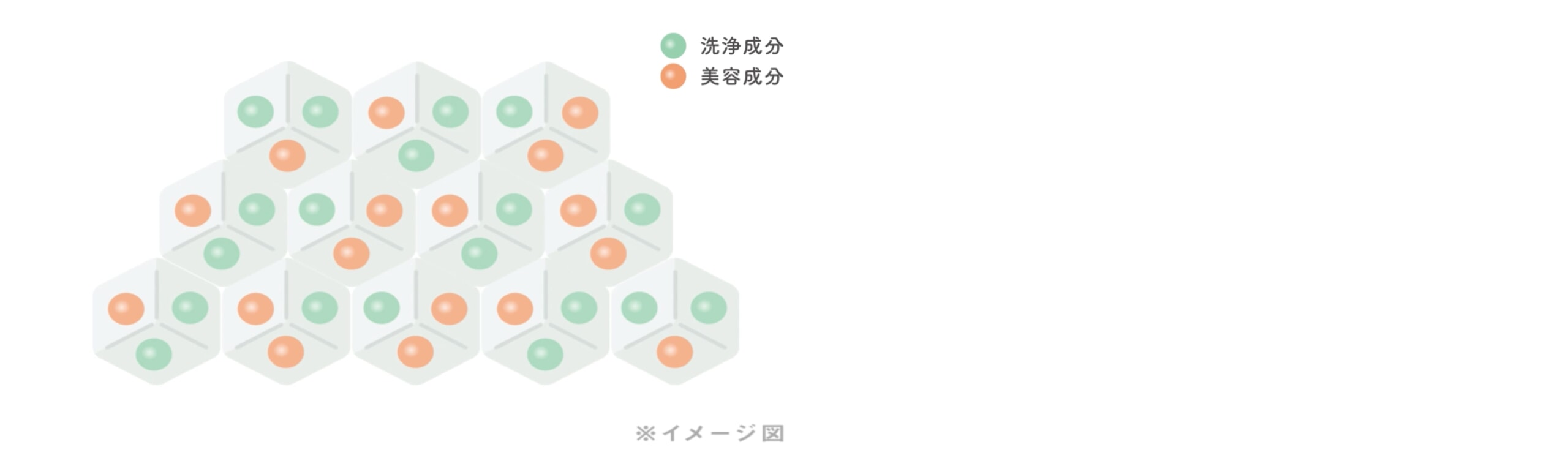 図解_クリアカプセルの仕組み_組織イメージ_PCver