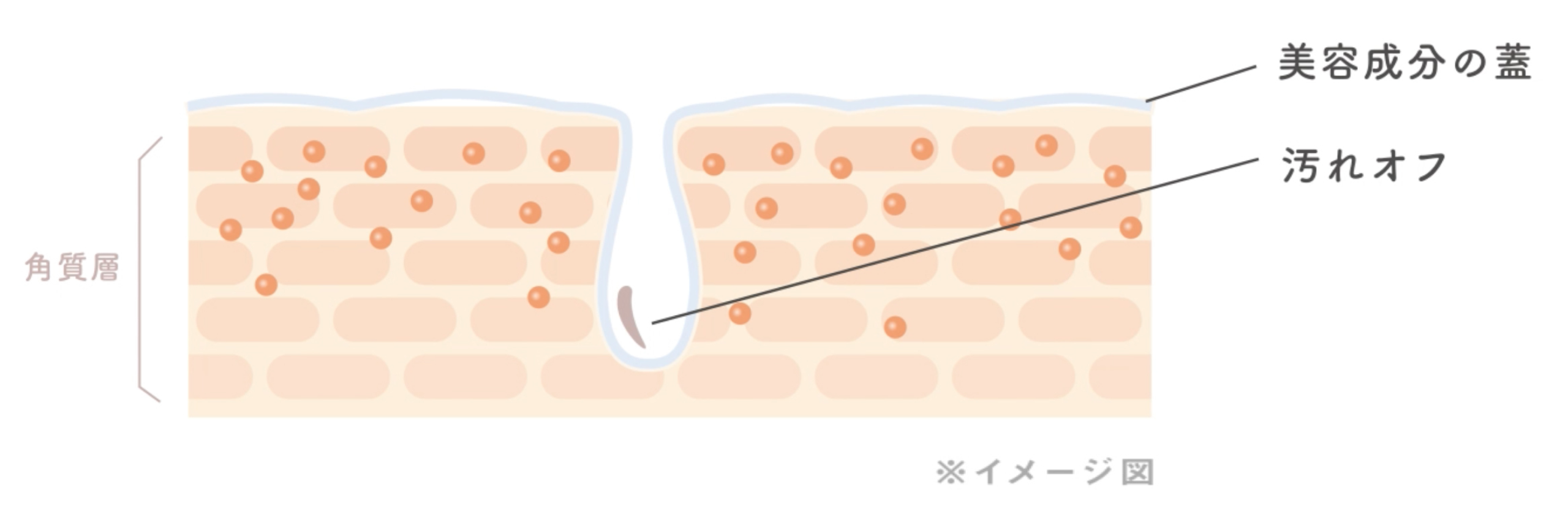 ⑤図解_クリアカプセルの仕組み_洗浄後_イラストイメージ_SPver