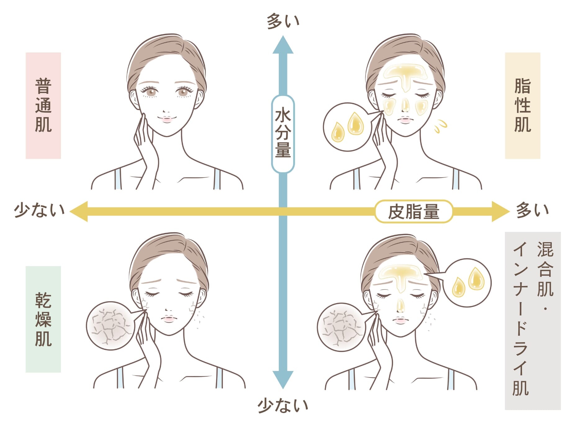 肌質タイプ別水分量と皮脂量のグラフ