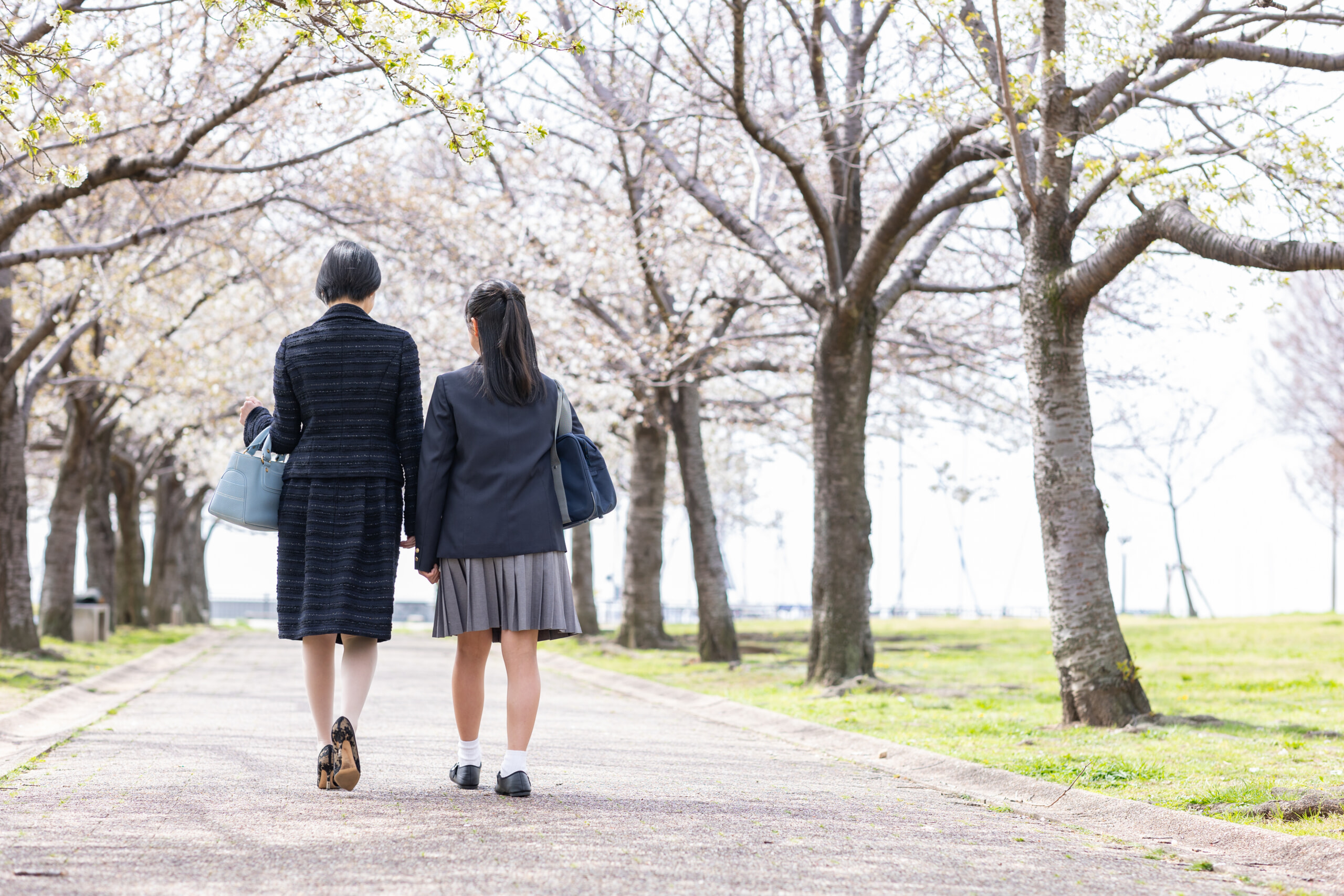 桜並木の下を歩く親子