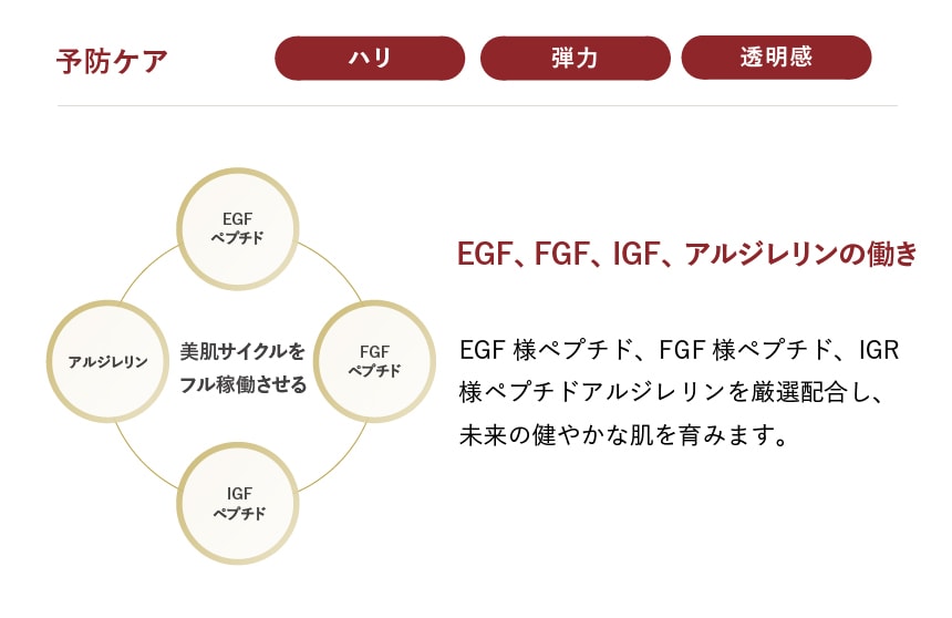 予防ケア　ハリ　弾力　透明感　EGF、FGF、IGF、アルジレリンの働き　EGF様ペプチド、FGF様ペプチド、IGR様ペプチドアルジレリンを厳選配合し、未来の健やかな肌を育みます。