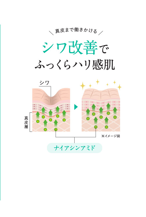 シワ改善の説明